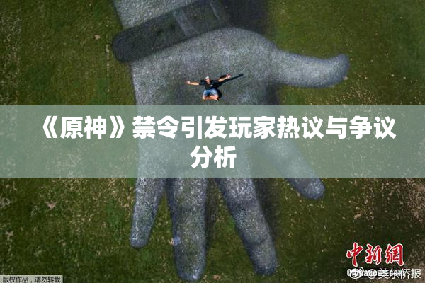 《原神》禁令引发玩家热议与争议分析