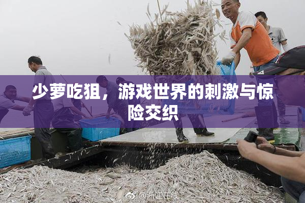少萝吃狙，游戏世界的刺激与惊险交织