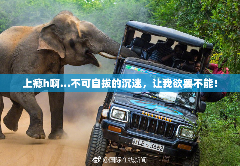 上瘾h啊…不可自拔的沉迷，让我欲罢不能！