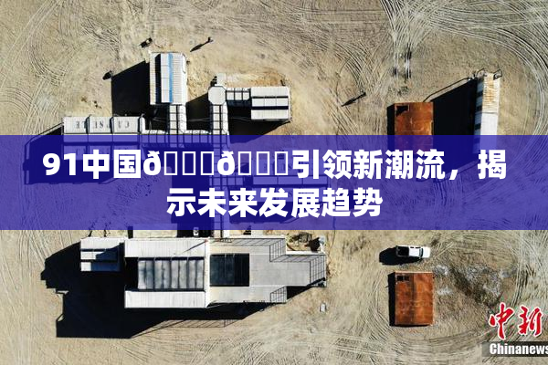 91中国🍆🍑引领新潮流，揭示未来发展趋势
