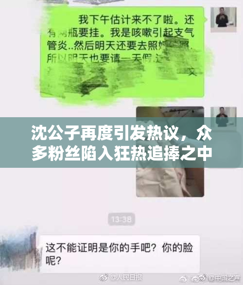 沈公子再度引发热议，众多粉丝陷入狂热追捧之中