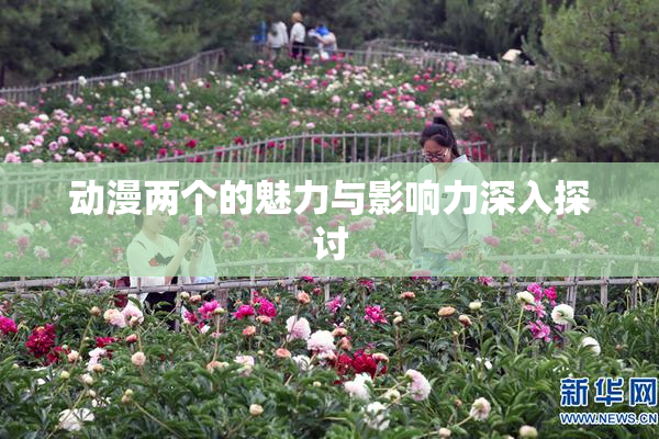 动漫两个的魅力与影响力深入探讨