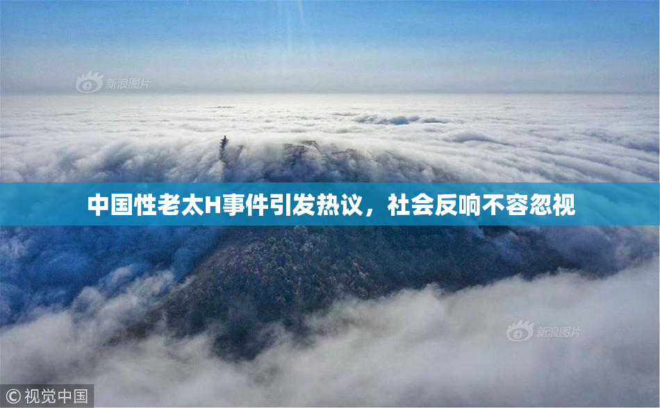 中国性老太H事件引发热议，社会反响不容忽视