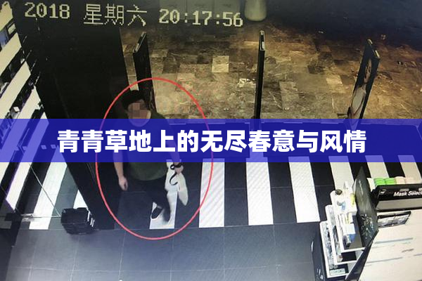 青青草地上的无尽春意与风情