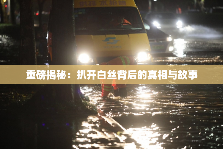 重磅揭秘：扒开白丝背后的真相与故事