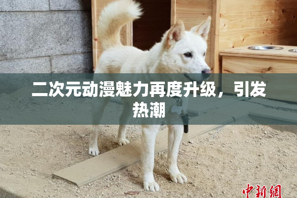 二次元动漫魅力再度升级，引发热潮