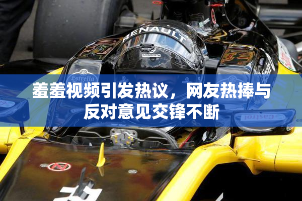 羞羞视频引发热议，网友热捧与反对意见交锋不断