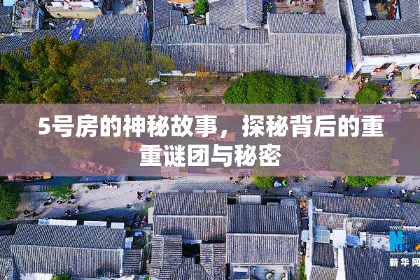 5号房的神秘故事，探秘背后的重重谜团与秘密