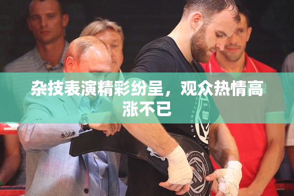杂技表演精彩纷呈，观众热情高涨不已