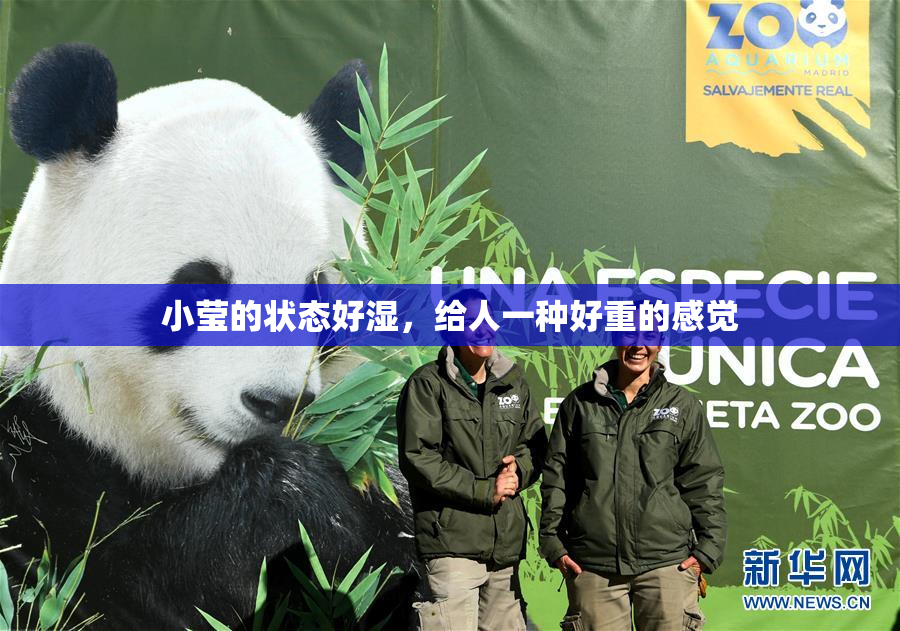 小莹的状态好湿，给人一种好重的感觉