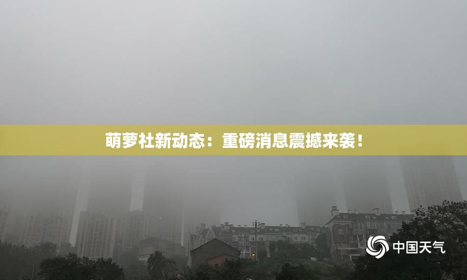 萌萝社新动态：重磅消息震撼来袭！
