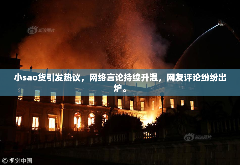 小sao货引发热议，网络言论持续升温，网友评论纷纷出炉。