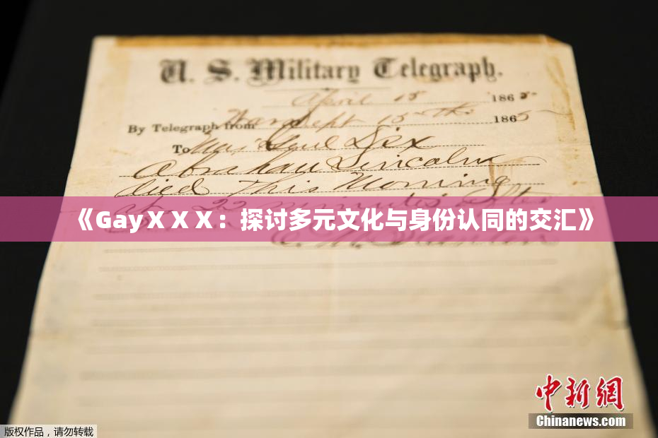 《GayⅩⅩⅩ：探讨多元文化与身份认同的交汇》