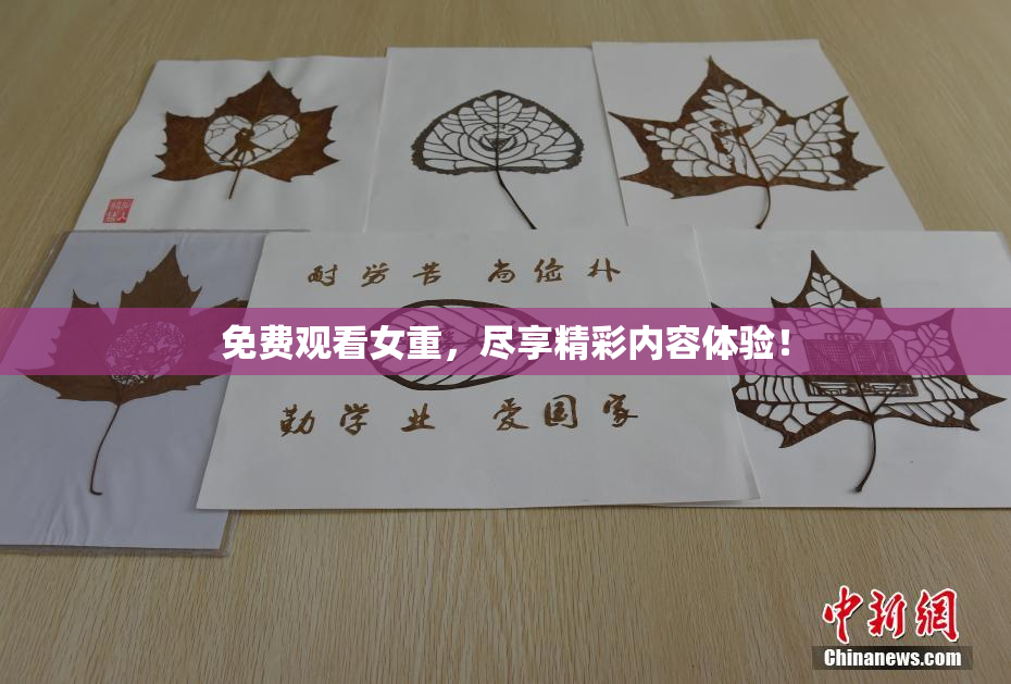 免费观看女重，尽享精彩内容体验！