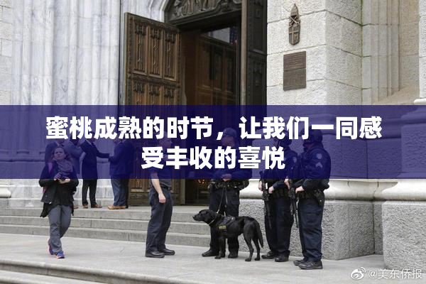 蜜桃成熟的时节，让我们一同感受丰收的喜悦
