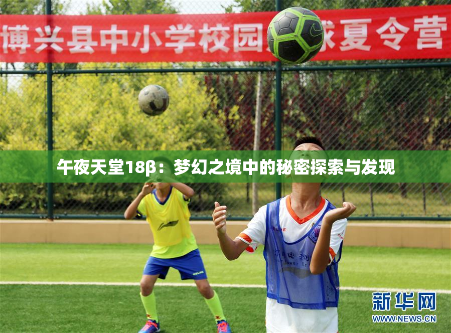午夜天堂18β：梦幻之境中的秘密探索与发现