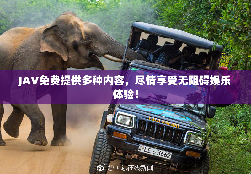 JAV免费提供多种内容，尽情享受无阻碍娱乐体验！