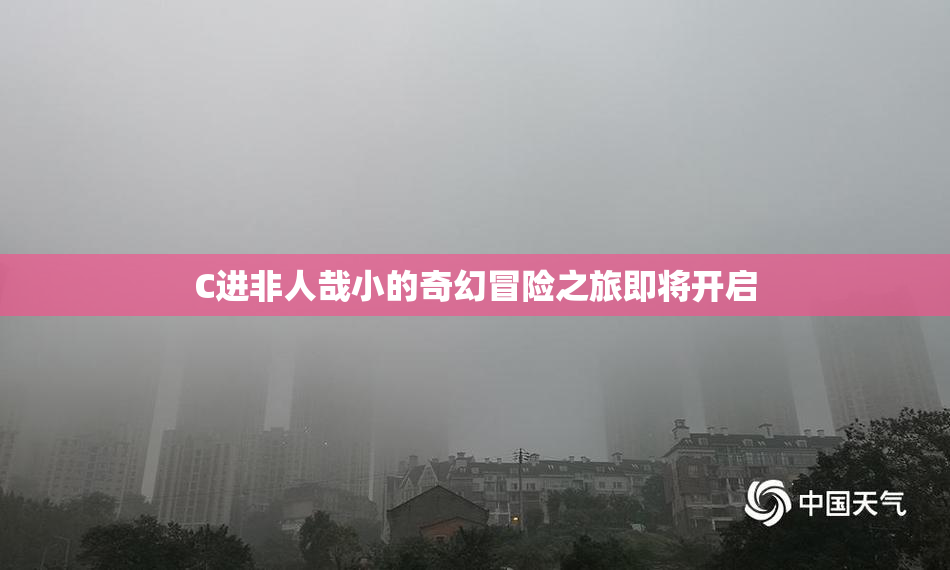 C进非人哉小的奇幻冒险之旅即将开启