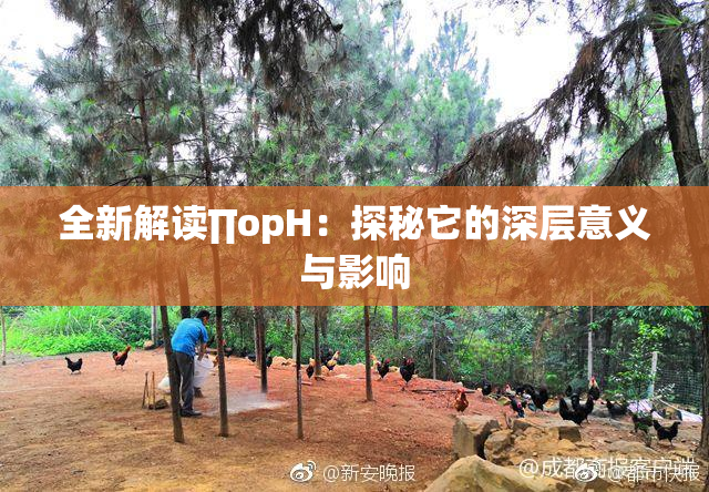 全新解读∏opH：探秘它的深层意义与影响