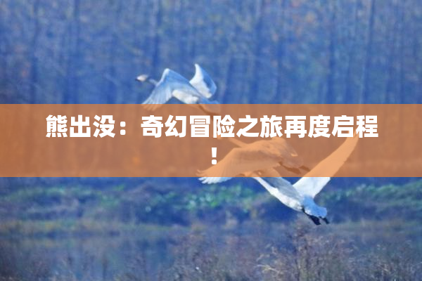 熊出没：奇幻冒险之旅再度启程！