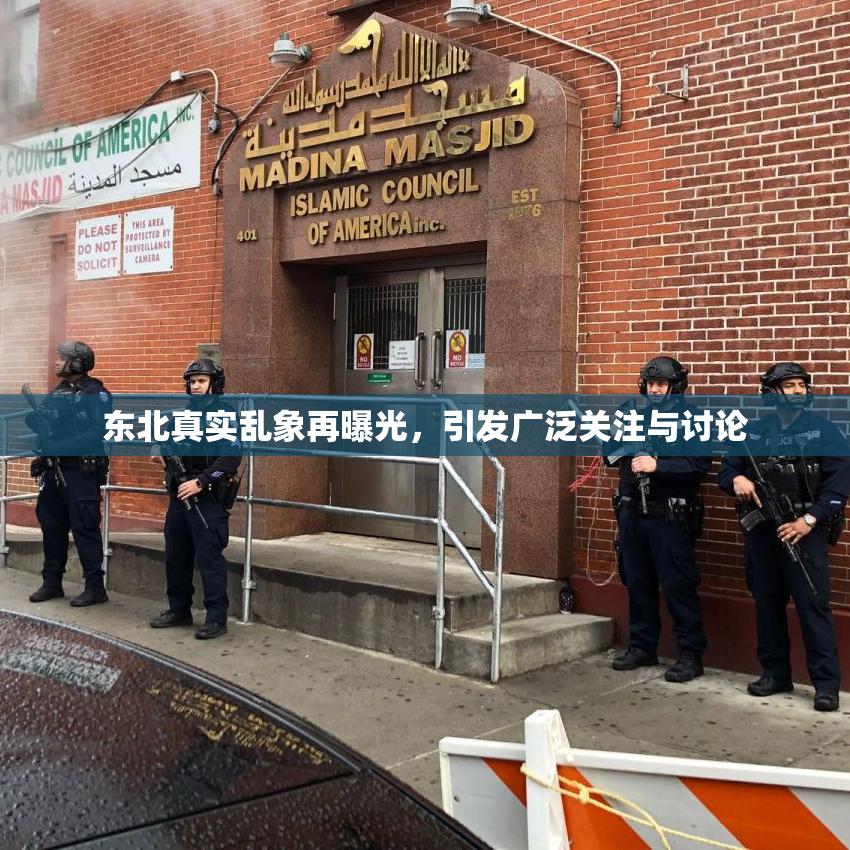 东北真实乱象再曝光，引发广泛关注与讨论