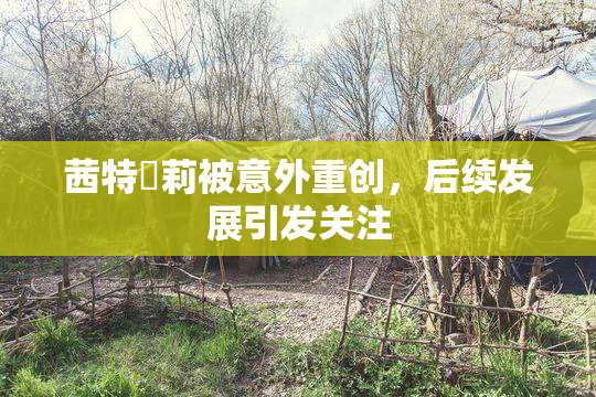茜特菈莉被意外重创，后续发展引发关注