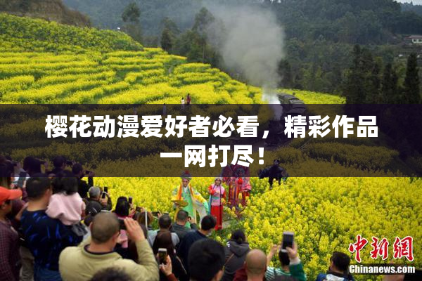 樱花动漫爱好者必看，精彩作品一网打尽！