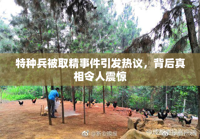 特种兵被取精事件引发热议，背后真相令人震惊