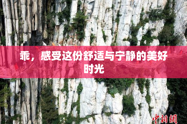 乖，感受这份舒适与宁静的美好时光