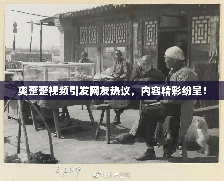 爽歪歪视频引发网友热议，内容精彩纷呈！