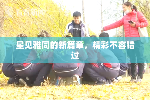 星见雅同的新篇章，精彩不容错过