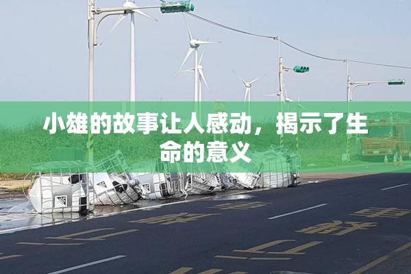 小雄的故事让人感动，揭示了生命的意义