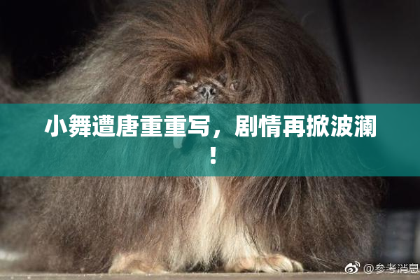 小舞遭唐重重写，剧情再掀波澜！