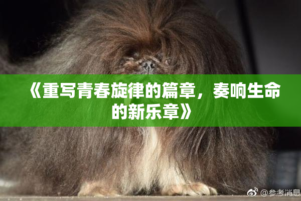 《重写青春旋律的篇章，奏响生命的新乐章》