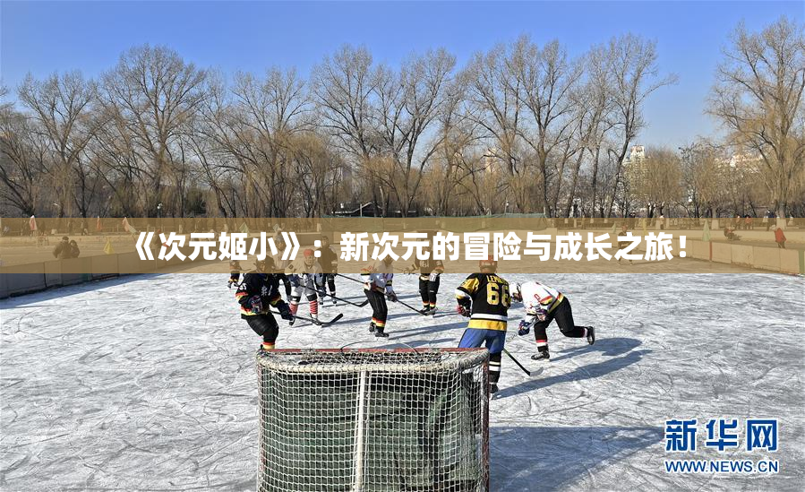 《次元姬小》：新次元的冒险与成长之旅！