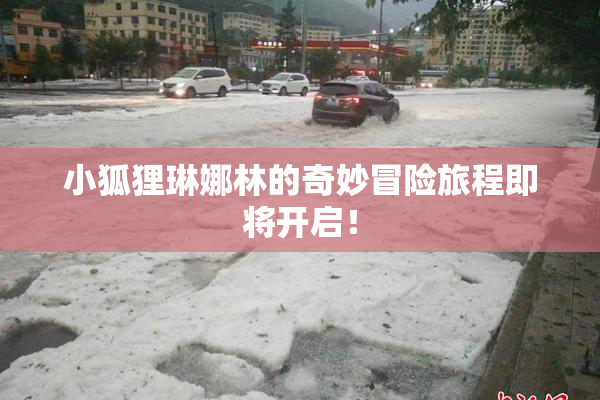 小狐狸琳娜林的奇妙冒险旅程即将开启！