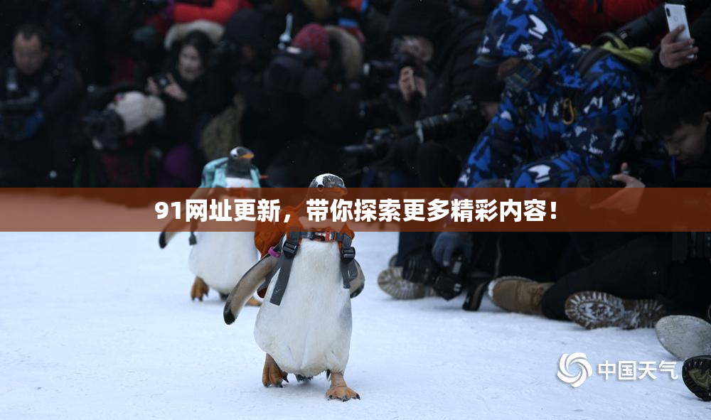 91网址更新，带你探索更多精彩内容！