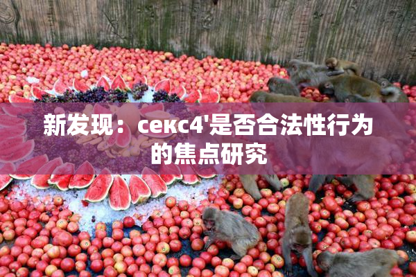 新发现：секс4'是否合法性行为的焦点研究