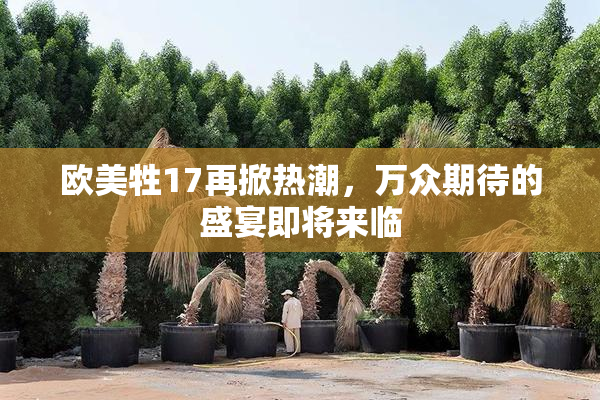 欧美牲17再掀热潮，万众期待的盛宴即将来临