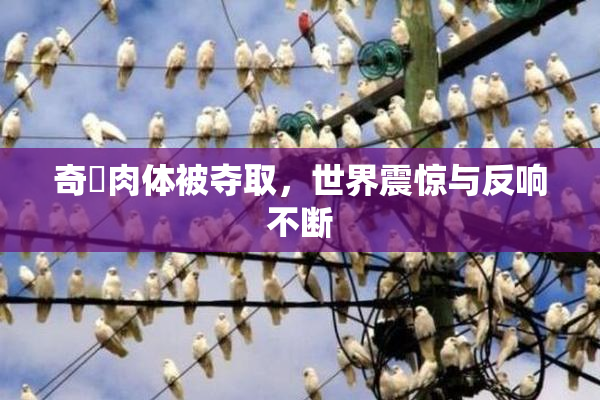 奇犽肉体被夺取，世界震惊与反响不断