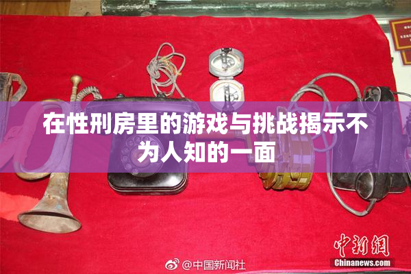 在性刑房里的游戏与挑战揭示不为人知的一面