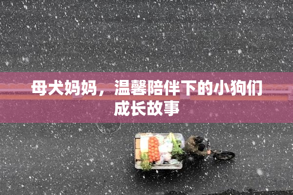 母犬妈妈，温馨陪伴下的小狗们成长故事