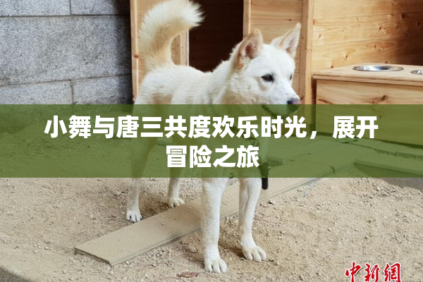小舞与唐三共度欢乐时光，展开冒险之旅