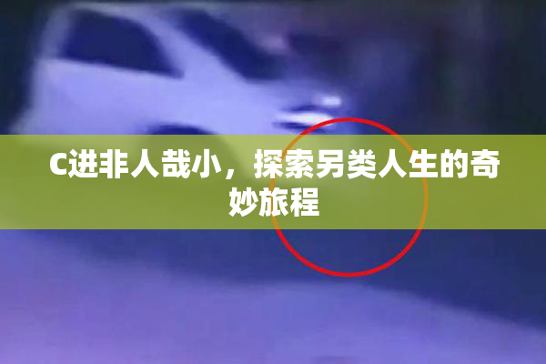 C进非人哉小，探索另类人生的奇妙旅程