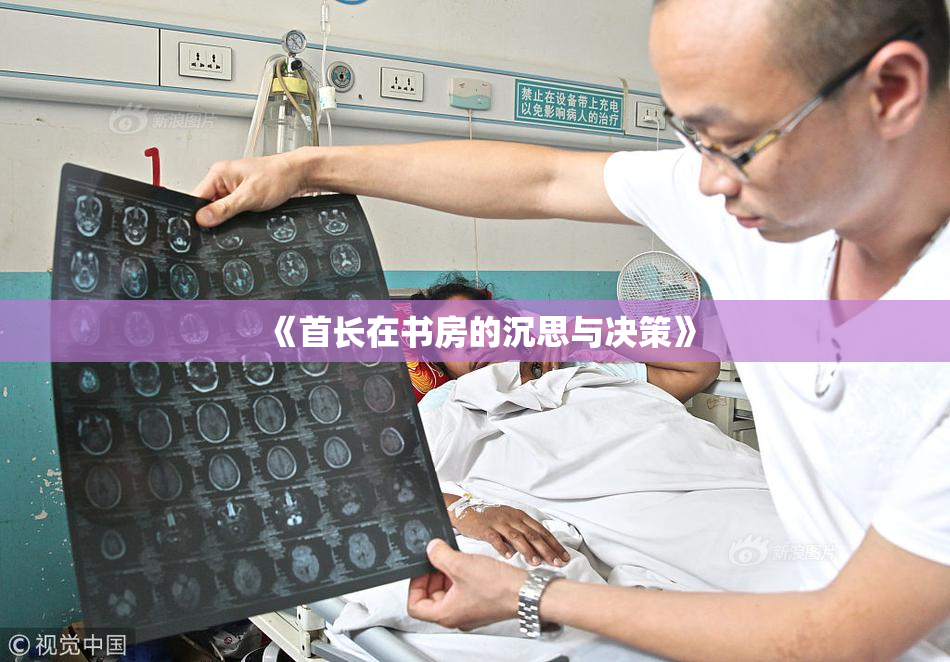 《首长在书房的沉思与决策》