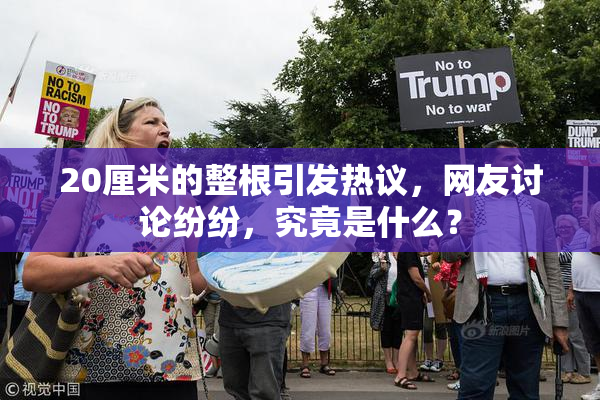20厘米的整根引发热议，网友讨论纷纷，究竟是什么？