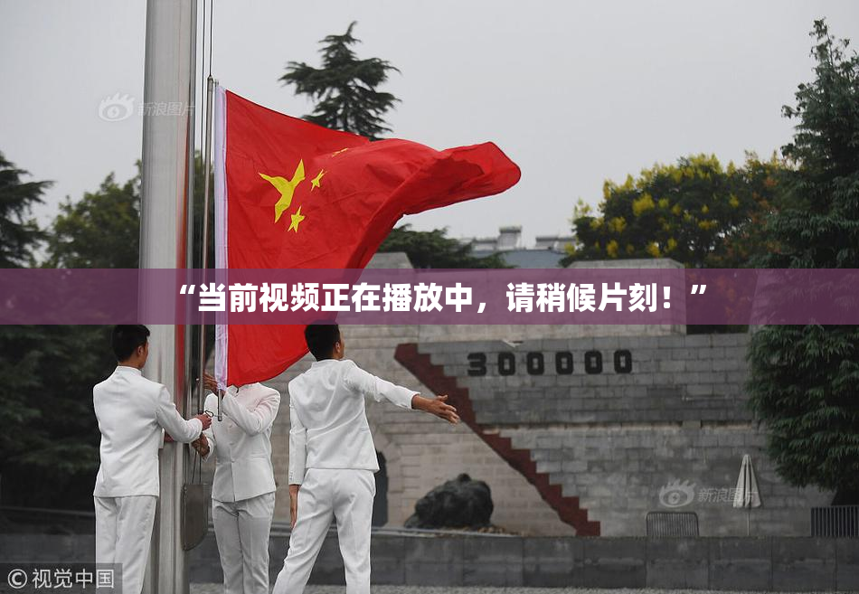 “当前视频正在播放中，请稍候片刻！”