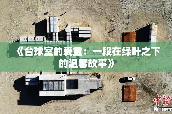 《台球室的爱重：一段在绿叶之下的温馨故事》