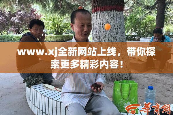 www.xj全新网站上线，带你探索更多精彩内容！
