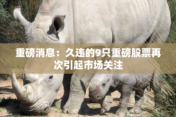 重磅消息：久违的9只重磅股票再次引起市场关注